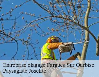 Entreprise élagage fargues-sur-ourbise-47700 Paysagiste Joselito
