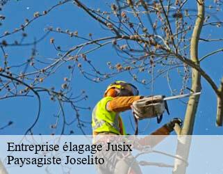 Entreprise élagage  jusix-47200 Paysagiste Joselito