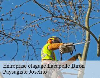 Entreprise élagage  lacapelle-biron-47150 Paysagiste Joselito