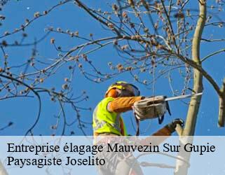 Entreprise élagage  mauvezin-sur-gupie-47200 Paysagiste Joselito
