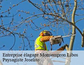 Entreprise élagage  monsempron-libos-47500 Paysagiste Joselito