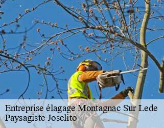 Entreprise élagage  montagnac-sur-lede-47150 Paysagiste Joselito
