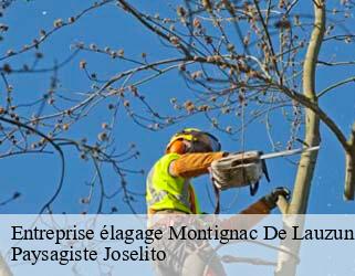 Entreprise élagage  montignac-de-lauzun-47800 Paysagiste Joselito