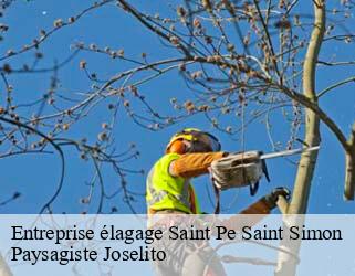 Entreprise élagage  saint-pe-saint-simon-47170 Paysagiste Joselito