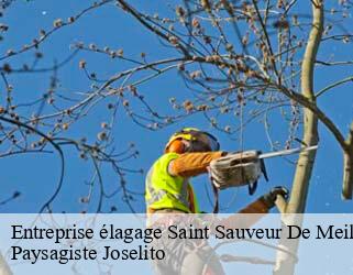 Entreprise élagage  saint-sauveur-de-meilhan-47200 Paysagiste Joselito