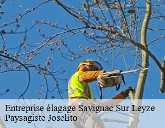 Entreprise élagage savignac-sur-leyze-47150 Paysagiste Joselito