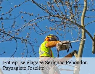 Entreprise élagage  serignac-peboudou-47410 Paysagiste Joselito