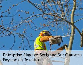 Entreprise élagage  serignac-sur-garonne-47310 Paysagiste Joselito