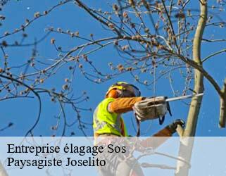 Entreprise élagage  sos-47170 Paysagiste Joselito