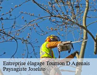 Entreprise élagage tournon-d-agenais-47370 Paysagiste Joselito