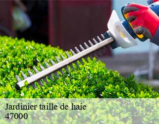 Jardinier taille de haie  47000