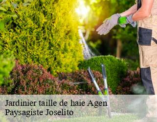 Jardinier taille de haie  agen-47000 Paysagiste Joselito