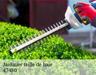 Jardinier taille de haie  47480