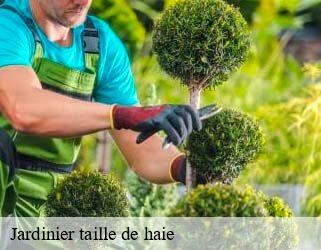 Jardinier taille de haie