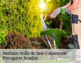 Jardinier taille de haie  caudecoste-47220 Paysagiste Joselito