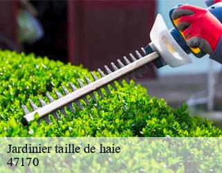 Jardinier taille de haie  47170