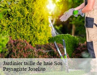 Jardinier taille de haie  sos-47170 Paysagiste Joselito